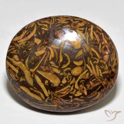 9,17 ctw natürlicher Lebkuchen braun Jaspis, Oval, Lichtundurchlässig