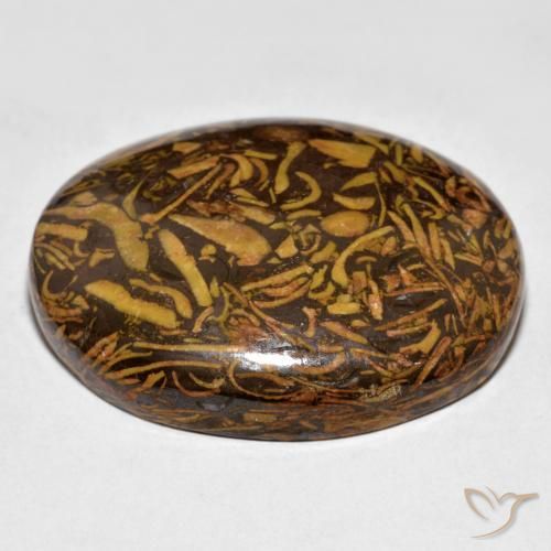 9,17 ctw natürlicher Lebkuchen braun Jaspis, Oval, Lichtundurchlässig