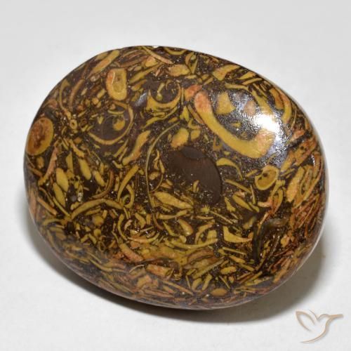 61.03ct Natürlicher Lebkuchen braun Jaspis, Oval, Lichtundurchlässig