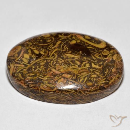 9,17 ctw natürlicher Lebkuchen braun Jaspis, Oval, Lichtundurchlässig
