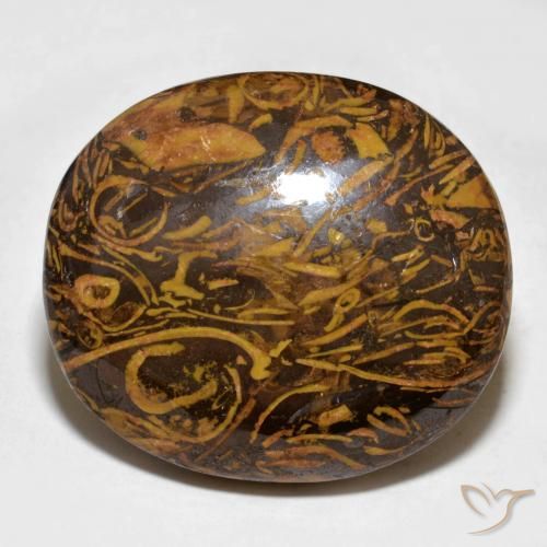 57.64ct Natürlicher Mittel-Dunkelbraun Jaspis, Oval, Lichtundurchlässig