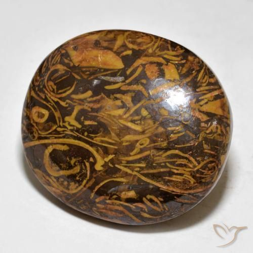 9,17 ctw natürlicher Mittel-Dunkelbraun Jaspis, Oval, Lichtundurchlässig