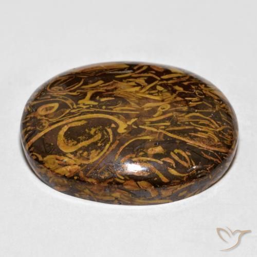 9,17 ctw natürlicher Mittel-Dunkelbraun Jaspis, Oval, Lichtundurchlässig