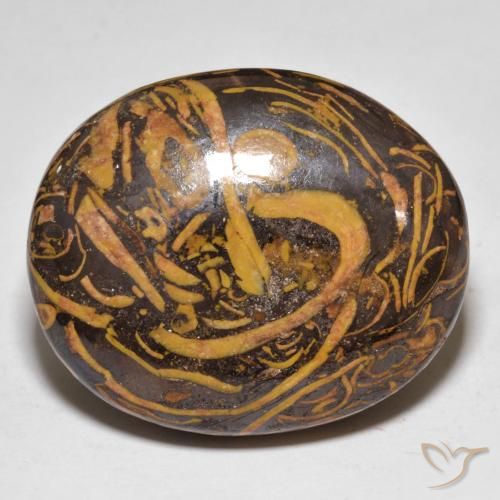 48.68ct Natürlicher Mehrfarbig Jaspis, Oval, Lichtundurchlässig