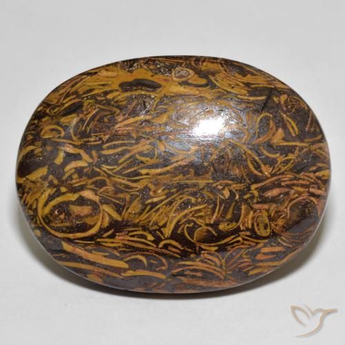 76.80ct Natürlicher Mehrfarbig Jaspis, Oval, Lichtundurchlässig