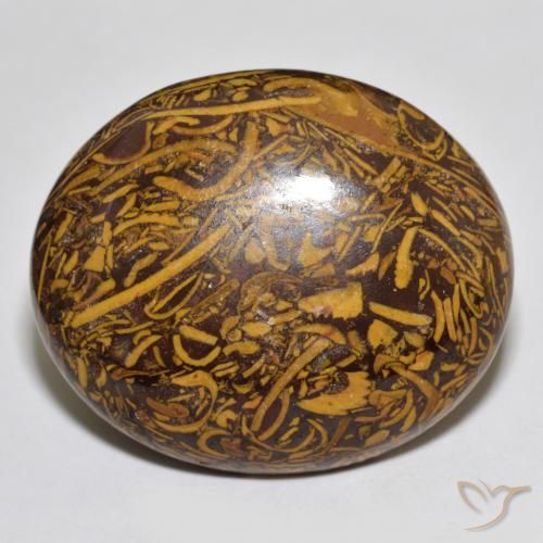 66.56ct Natürlicher Mehrfarbig Jaspis, Oval, Lichtundurchlässig