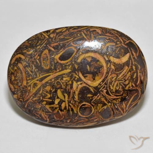 63.83ct Natürlicher Mehrfarbig Jaspis, Oval, Lichtundurchlässig