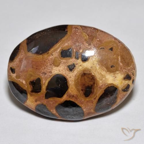 17.02ct Natürlicher Mehrfarbig Jaspis, Oval, Lichtundurchlässig