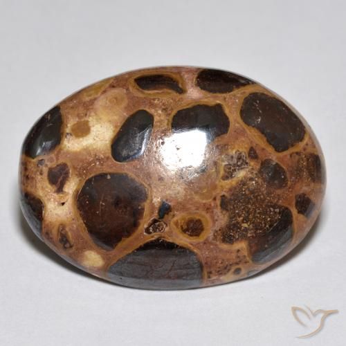 15.52ct Natürlicher Mehrfarbig Jaspis, Oval, Lichtundurchlässig