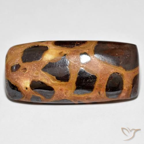18.09ct Natürlicher Mehrfarbig Jaspis, Kissen, Lichtundurchlässig