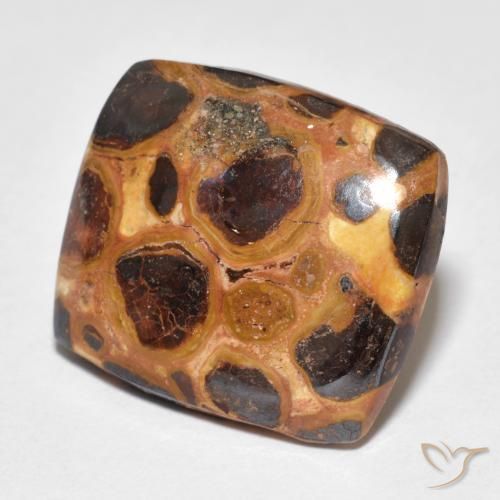12.18ct Natürlicher Mehrfarbig Jaspis, Kissen, Lichtundurchlässig