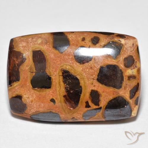 19.75ct Natürlicher Mehrfarbig Jaspis, Kissen, Lichtundurchlässig