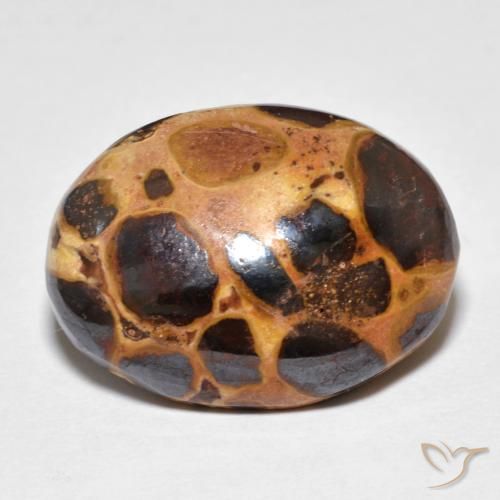 14.82ct Natürlicher Mehrfarbig Jaspis, Oval, Lichtundurchlässig
