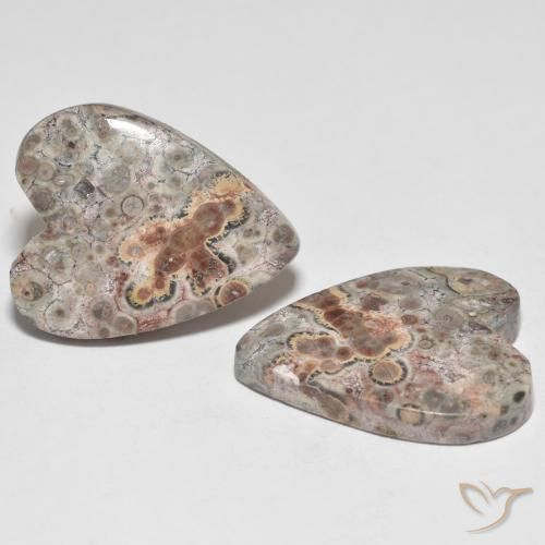 22.13 ct natürliche Mehrfarbig Jaspis-Edelsteine, Herz, Lichtundurchlässig