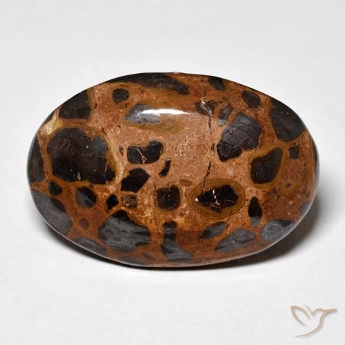 21.84ct Natürlicher Mehrfarbig Jaspis, Oval, Lichtundurchlässig