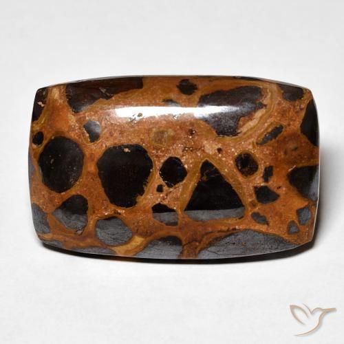 25.23ct Natürlicher Mehrfarbig Jaspis, Kissen, Lichtundurchlässig