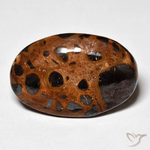 21.98ct Natürlicher Mehrfarbig Jaspis, Oval, Lichtundurchlässig