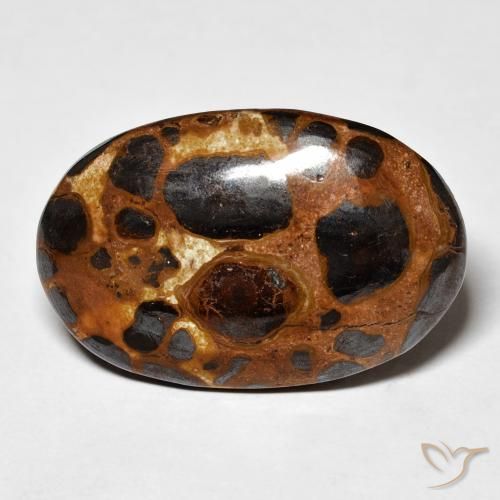 19.43ct Natürlicher Mehrfarbig Jaspis, Oval, Lichtundurchlässig