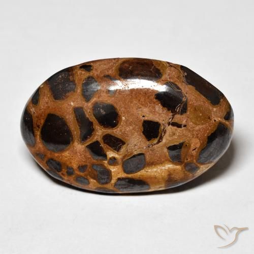 20.50ct Natürlicher Mehrfarbig Jaspis, Oval, Lichtundurchlässig
