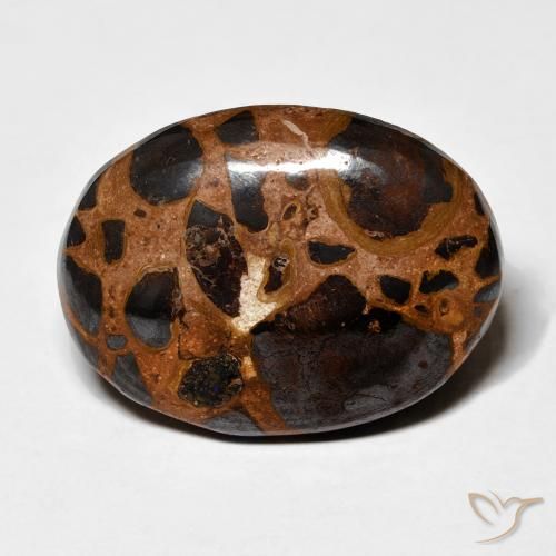 19.16ct Natürlicher Mehrfarbig Jaspis, Oval, Lichtundurchlässig