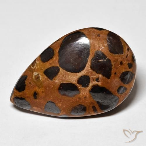 24.78ct Natürlicher Mehrfarbig Jaspis, Birnenform, Lichtundurchlässig
