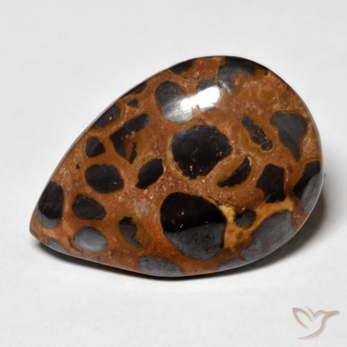 21.66ct Natürlicher Mehrfarbig Jaspis, Birnenform, Lichtundurchlässig