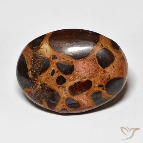 14.26ct Natürlicher Mehrfarbig Jaspis, Oval, Lichtundurchlässig