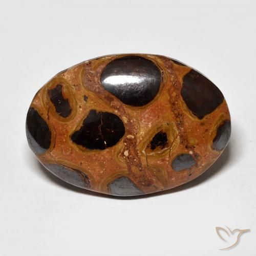 16.68ct Natürlicher Mehrfarbig Jaspis, Oval, Lichtundurchlässig
