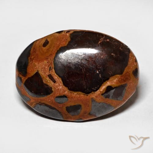 13.64ct Natürlicher Mehrfarbig Jaspis, Oval, Lichtundurchlässig