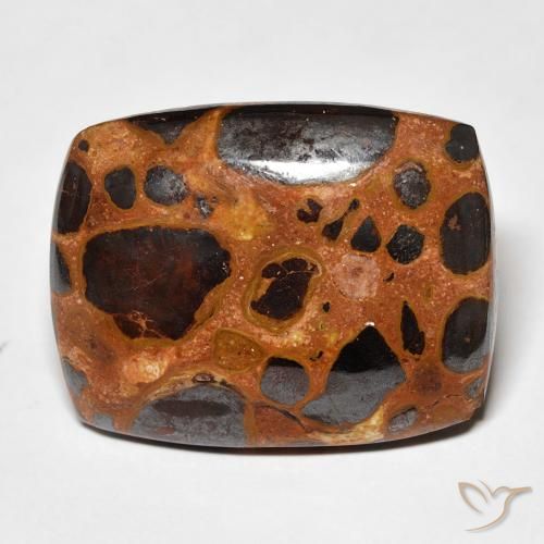 19.46ct Natürlicher Mehrfarbig Jaspis, Kissen, Lichtundurchlässig