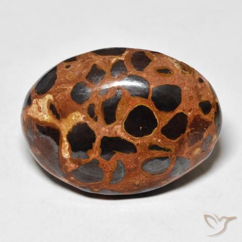 25.43ct Natürlicher Mehrfarbig Jaspis, Oval, Lichtundurchlässig