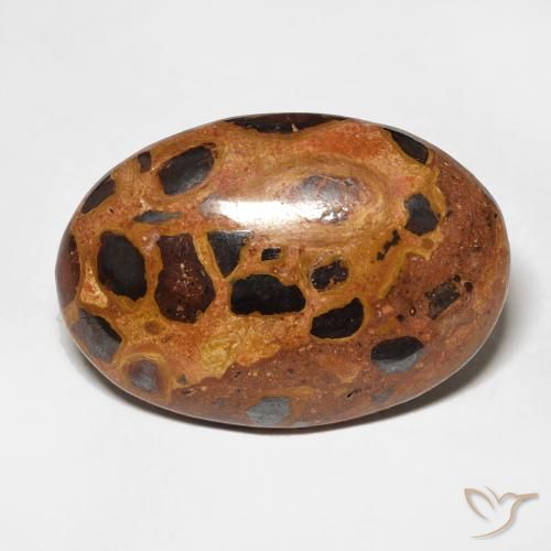13.09ct Natürlicher Mehrfarbig Jaspis, Oval, Lichtundurchlässig