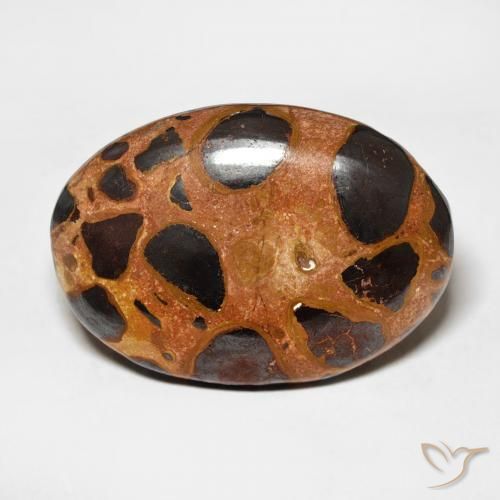 17.65ct Natürlicher Mehrfarbig Jaspis, Oval, Lichtundurchlässig