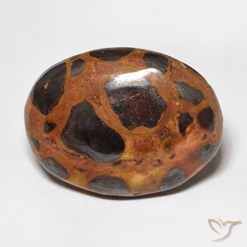 17.65ct Natürlicher Mehrfarbig Jaspis, Oval, Lichtundurchlässig