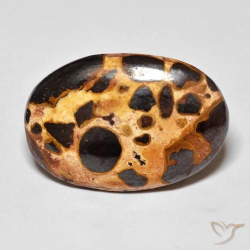 16.03ct Natürlicher Mehrfarbig Jaspis, Oval, Lichtundurchlässig
