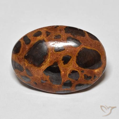 13.01ct Natürlicher Mehrfarbig Jaspis, Oval, Lichtundurchlässig