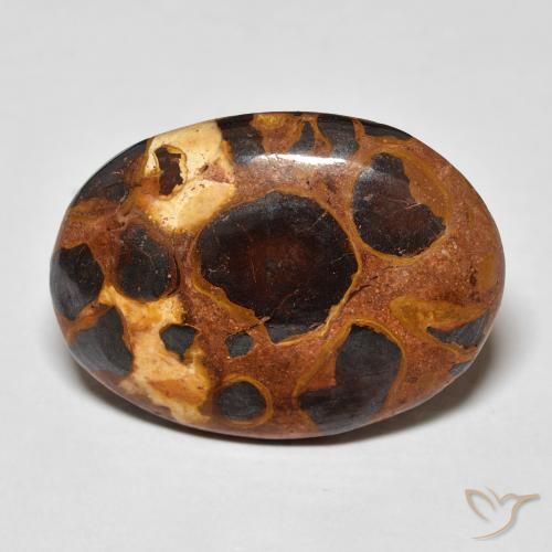 14.20ct Natürlicher Mehrfarbig Jaspis, Oval, Lichtundurchlässig
