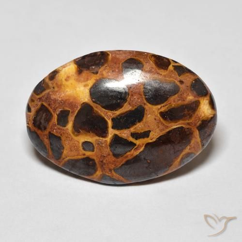 13.57ct Natürlicher Mehrfarbig Jaspis, Oval, Lichtundurchlässig
