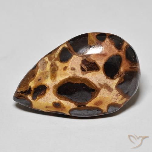 14.68ct Natürlicher Mehrfarbig Jaspis, Birnenform, Lichtundurchlässig
