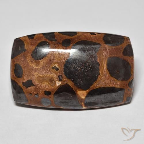 32.40ct Natürlicher Mehrfarbig Jaspis, Kissen, Lichtundurchlässig