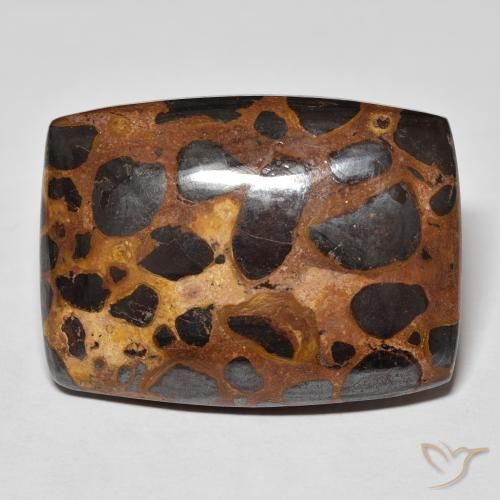 42.68ct Natürlicher Mehrfarbig Jaspis, Kissen, Lichtundurchlässig