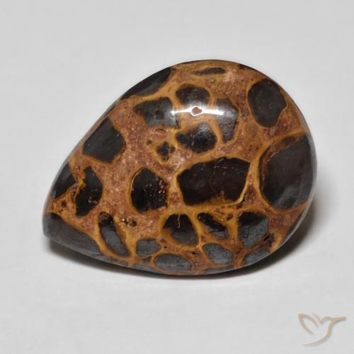 13.93ct Natürlicher Mehrfarbig Jaspis, Birnenform, Lichtundurchlässig