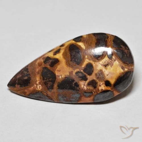 16.69ct Natürlicher Mehrfarbig Jaspis, Birnenform, Lichtundurchlässig