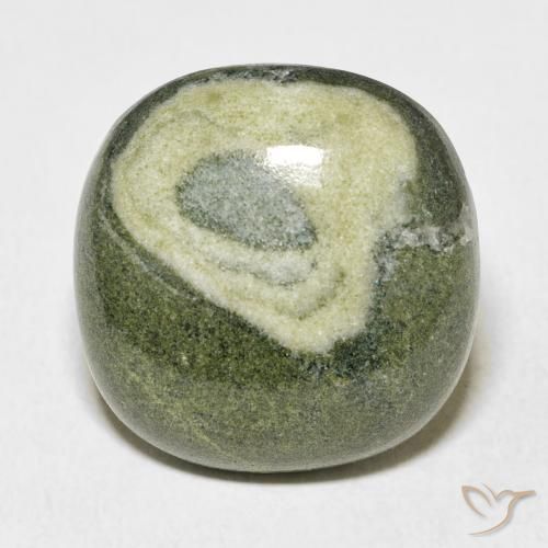 25.13ct Natürlicher Mehrfarbig Jaspis, Kissen, Lichtundurchlässig
