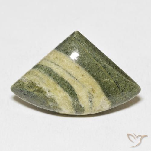19.98ct Natürlicher Mehrfarbig Jaspis, Trillion, Lichtundurchlässig