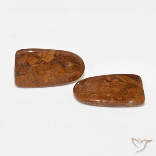 15.61 ct natürliche Mehrfarbig Jaspis-Edelsteine, Fantasie, Lichtundurchlässig