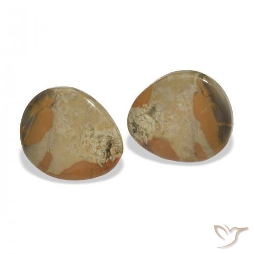 12.44 ct natürliche Mehrfarbig Jaspis-Edelsteine, Fantasie, Lichtundurchlässig
