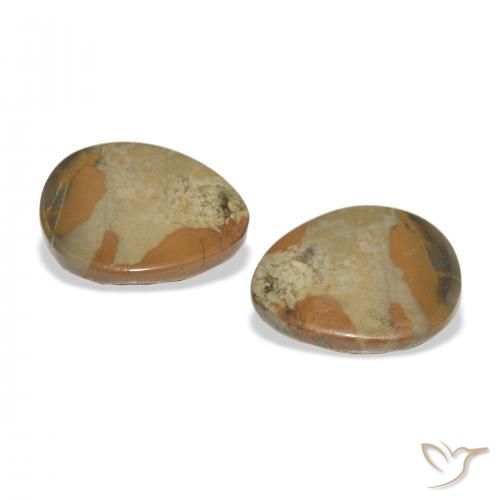 12.44 ct natürliche Mehrfarbig Jaspis-Edelsteine, Fantasie, Lichtundurchlässig