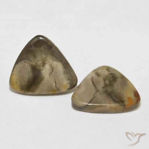13.82 ct natürliche Mehrfarbig Jaspis-Edelsteine, Trillion, Lichtundurchlässig