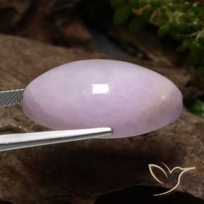 9,17 ctw natürlicher Lila-rosa Kunzit, Marquise, Lichtdurchlässig